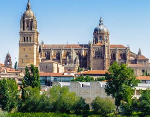 Providers in Salamanca